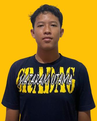 Muhammad Zulfan Arsy